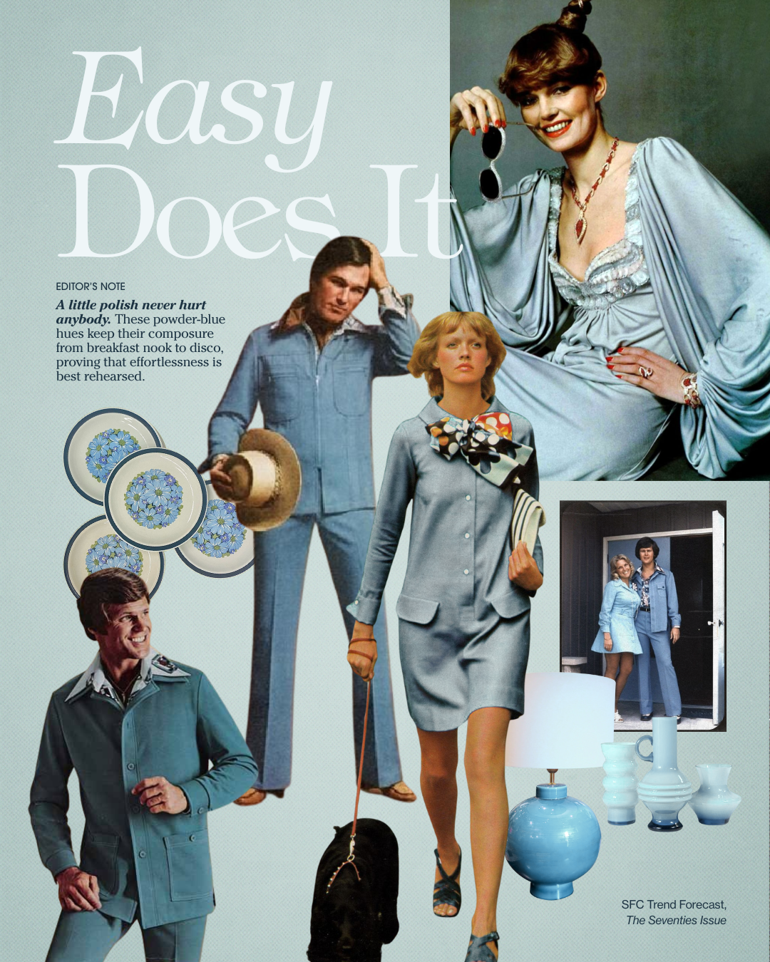The Seventies Issue: Leisure Suit PRE-ORDER