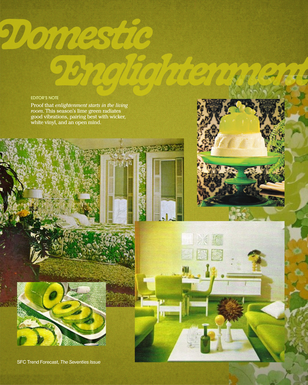 The Seventies Issue: Better Homes & Acid Trips PRE-ORDER