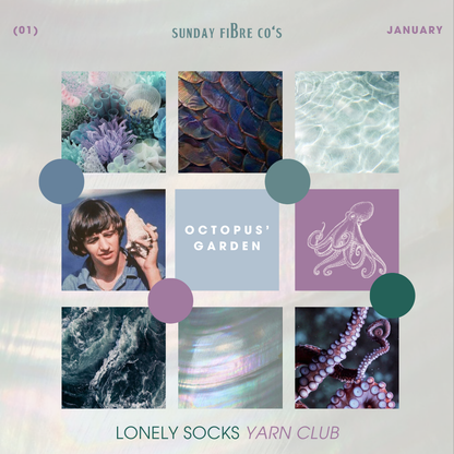 Lonely Socks Yarn Club | January IN-STOCK