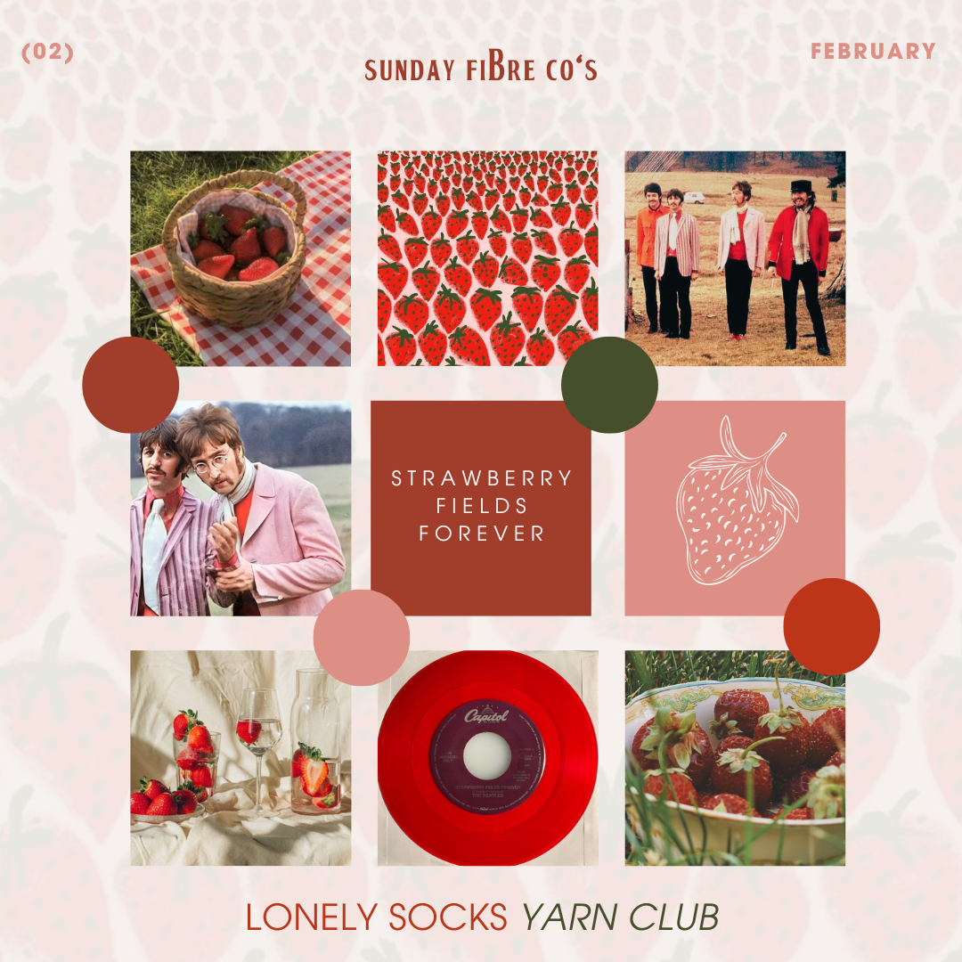 Lonely Socks Yarn Club | February IN-STOCK