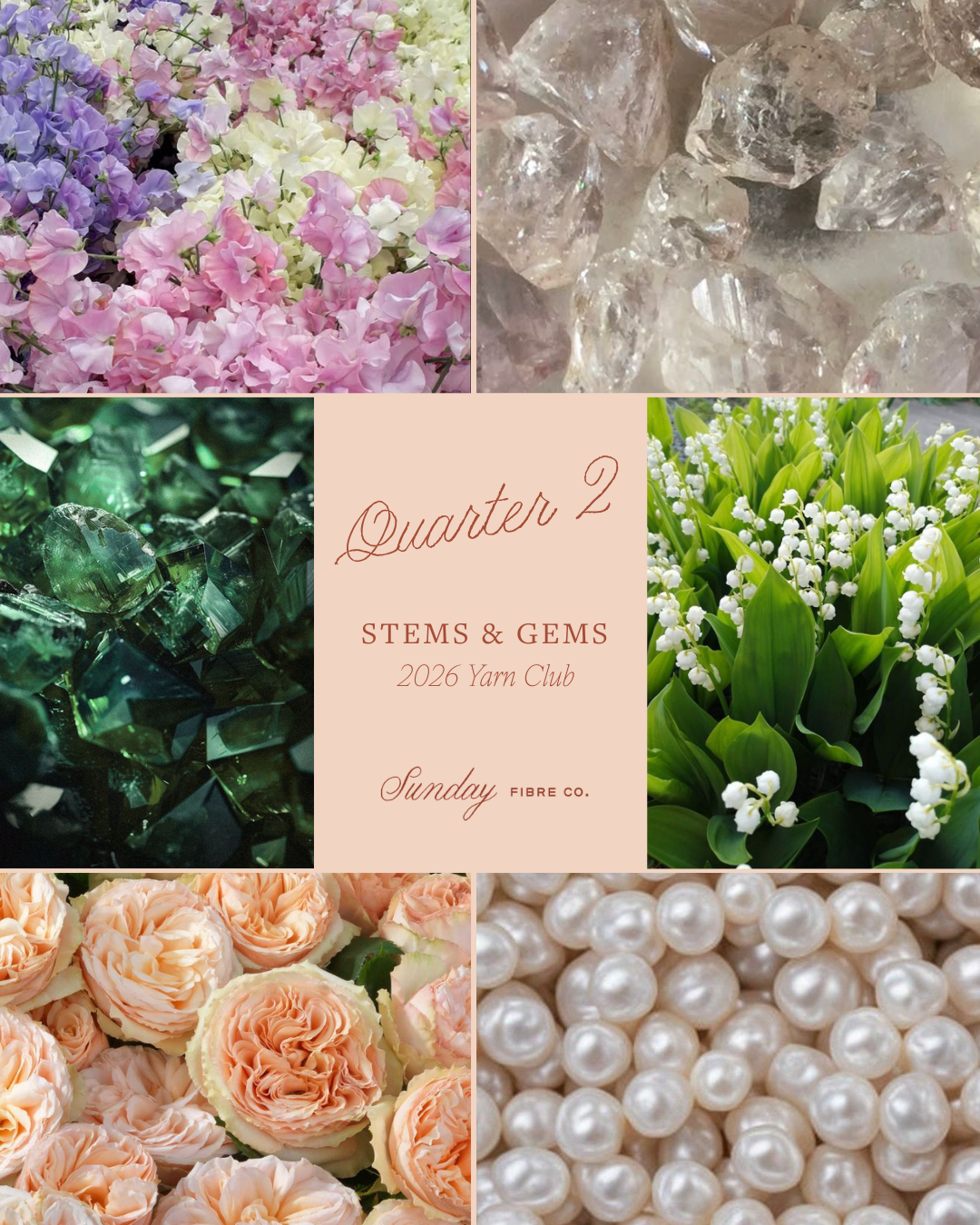 Stems & Gems 2026 Yarn Club | QUARTERLY SUBSCRIPTION