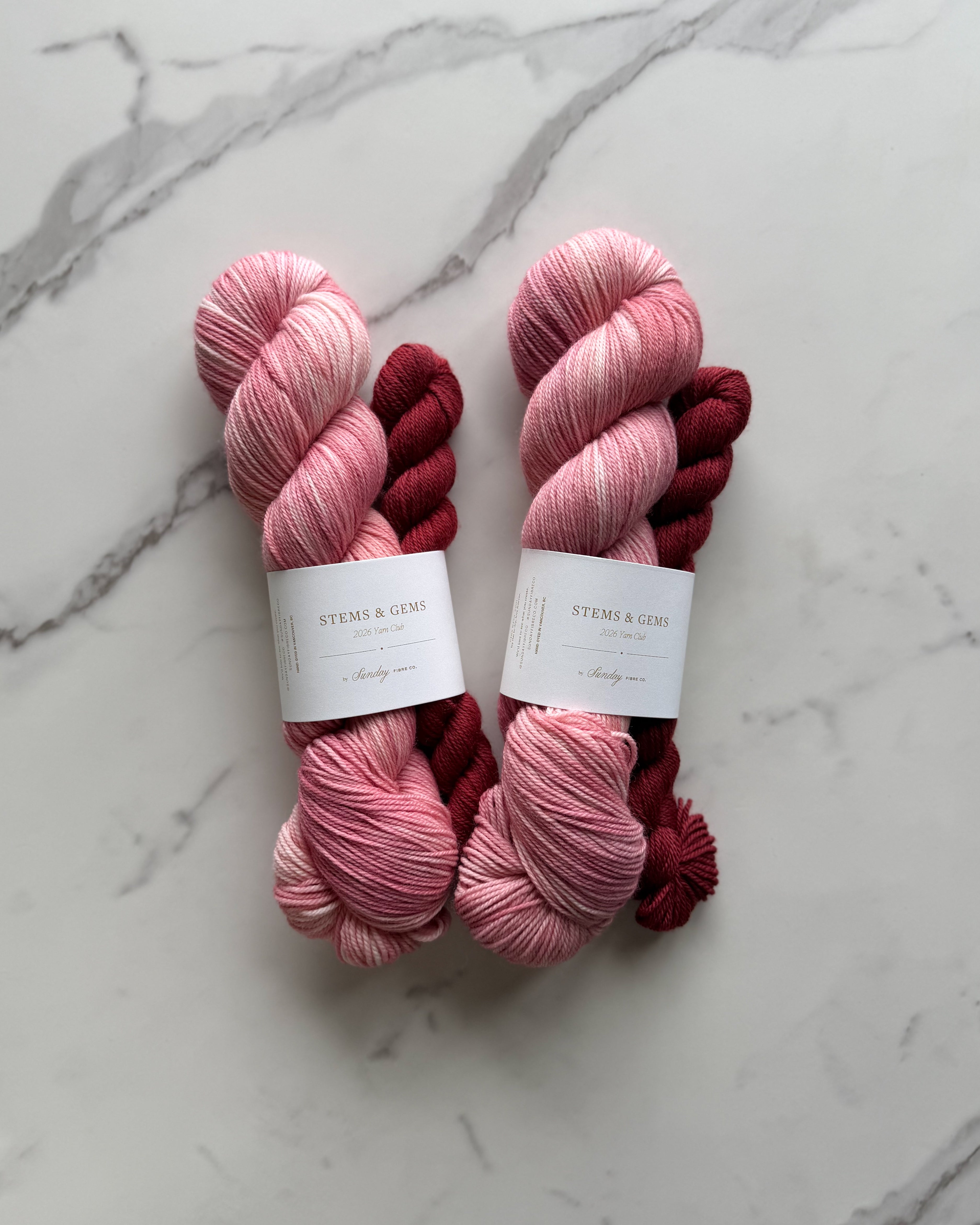 Carnations & Garnet | Eco Sock Set