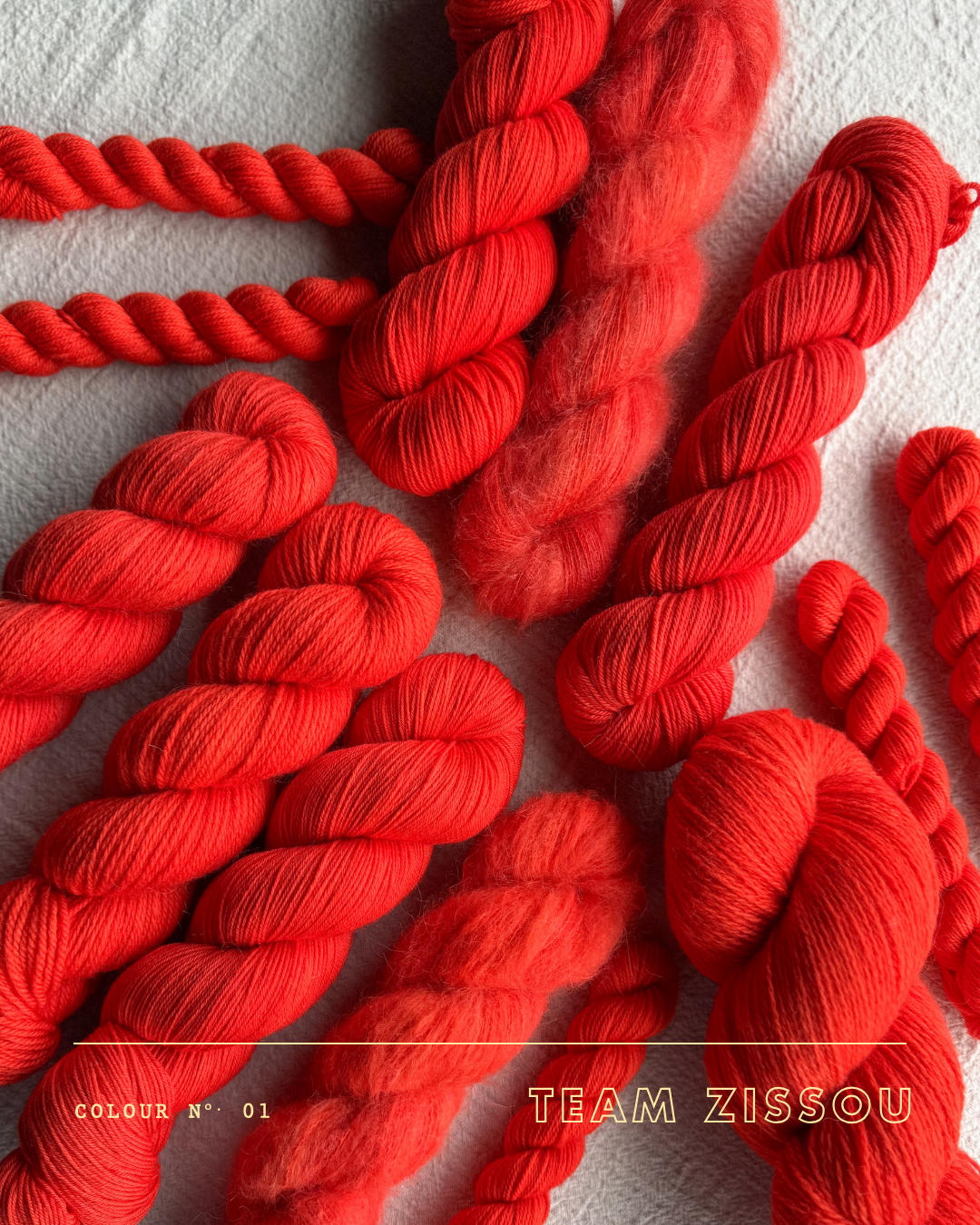 The Grand Palette: Team Zissou IN-STOCK