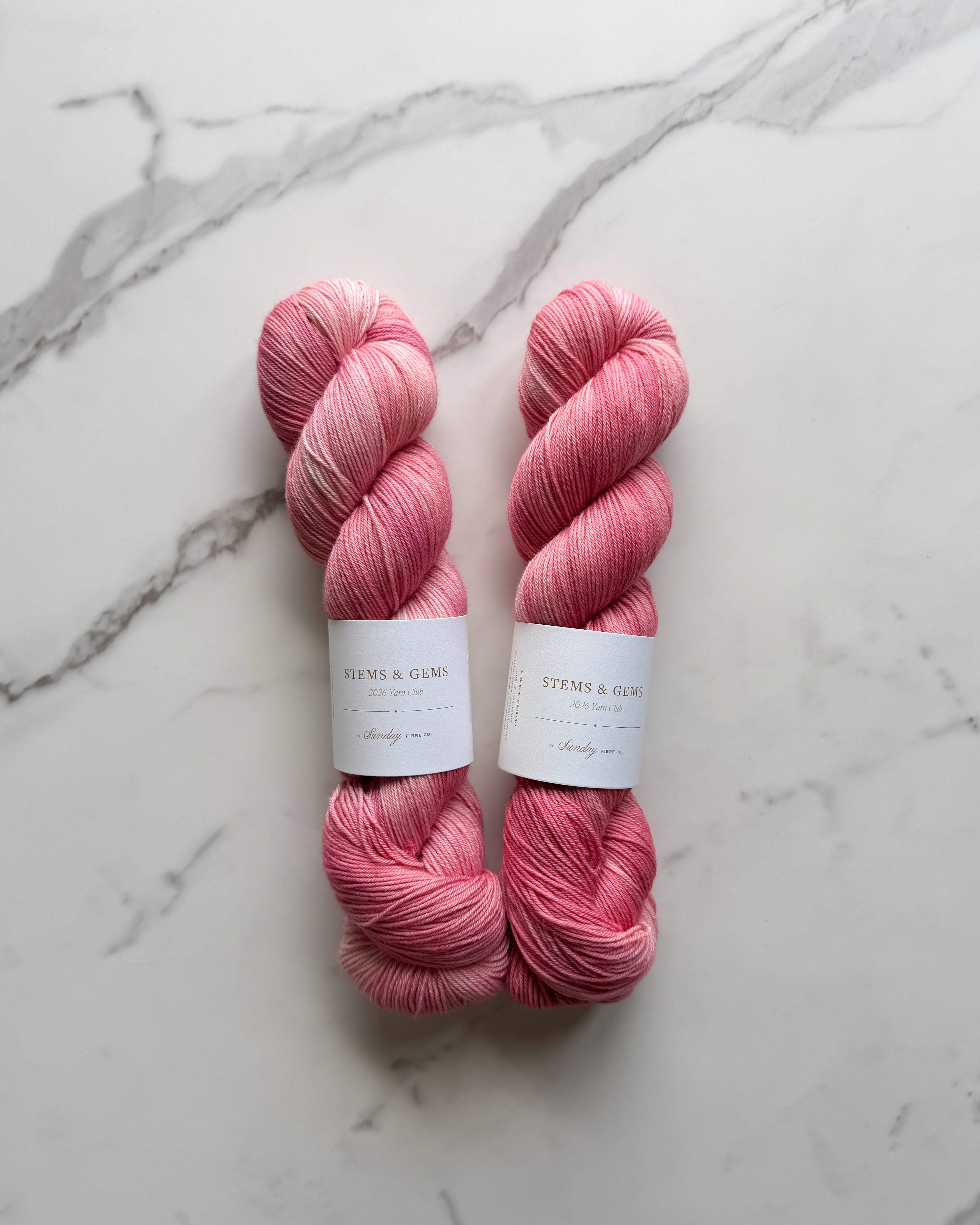 Carnations | Natural Fingering