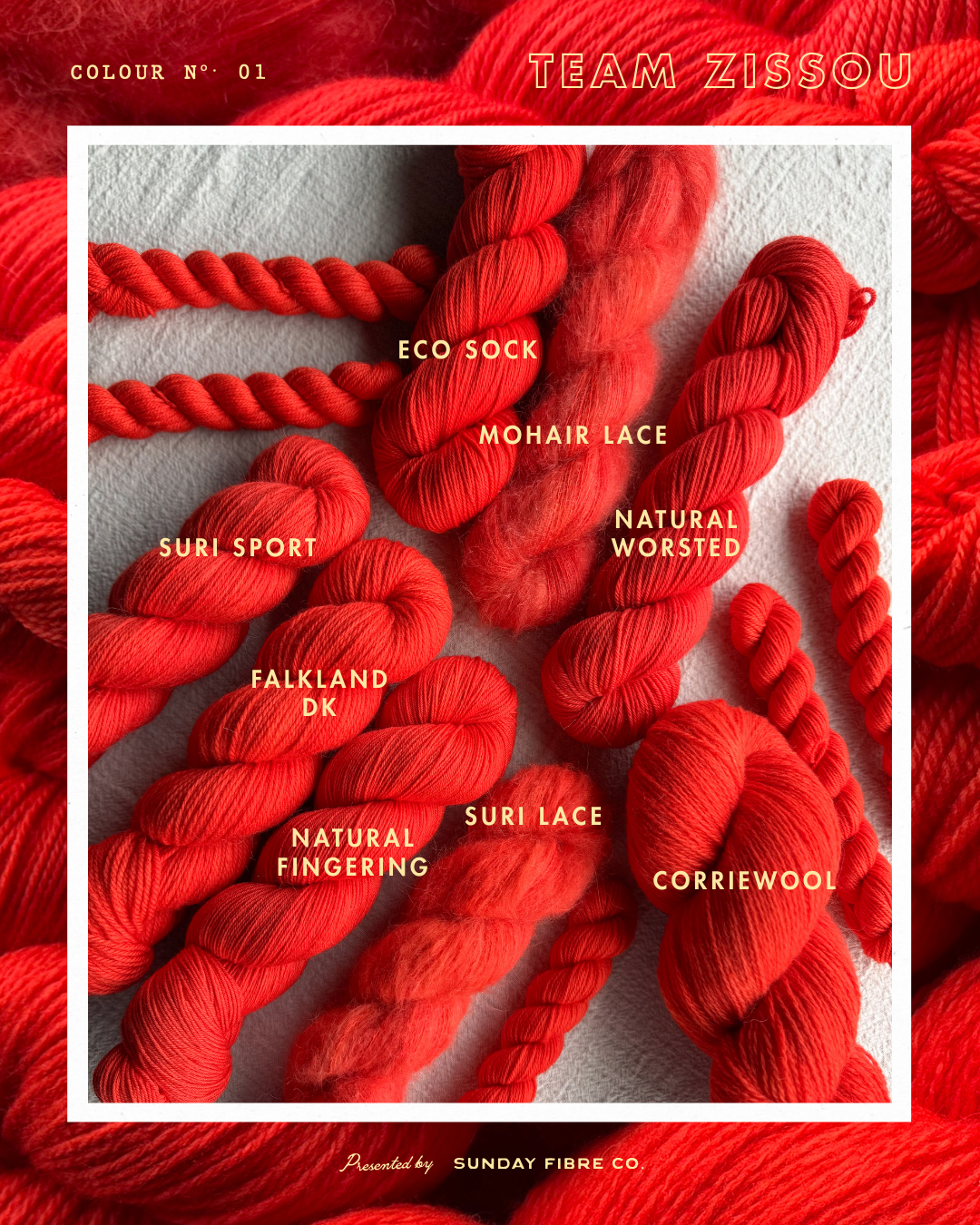 The Grand Palette: Team Zissou IN-STOCK