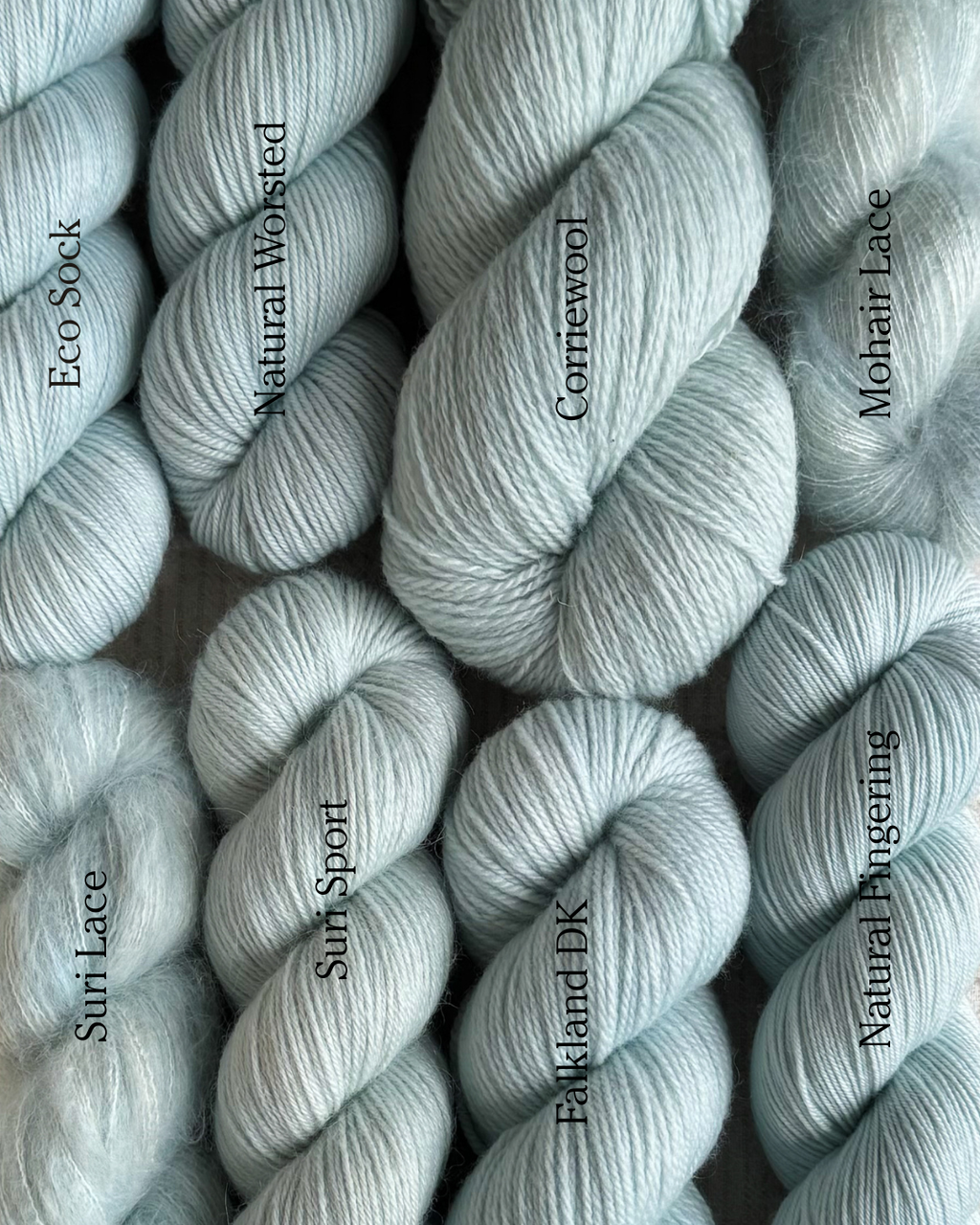 The Seventies Issue: Leisure Suit PRE-ORDER