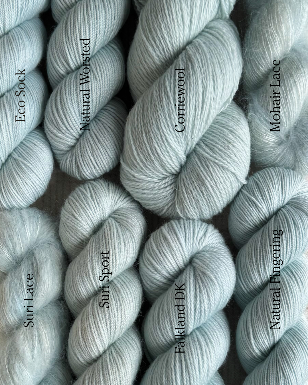 The Seventies Issue: Leisure Suit PRE-ORDER