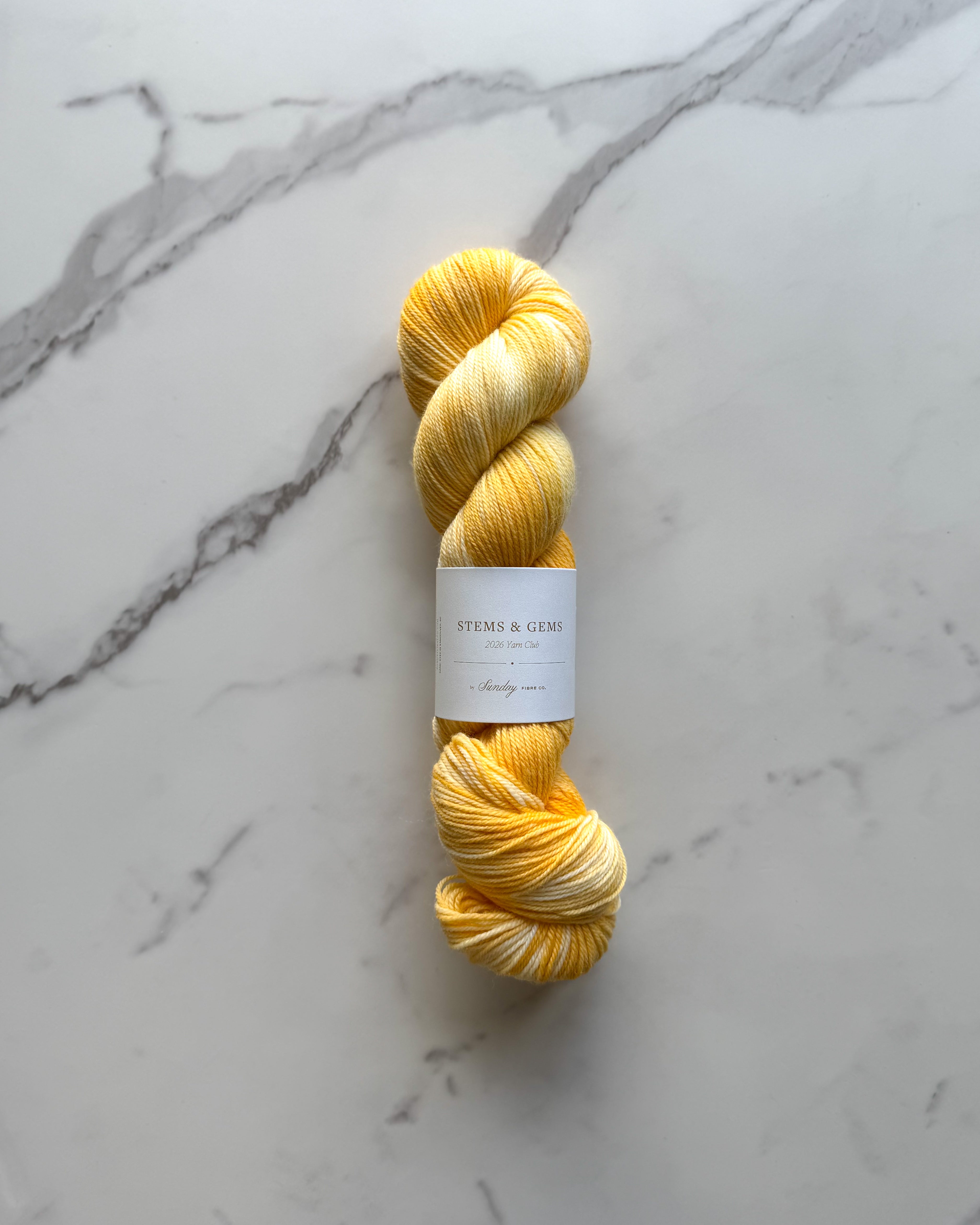 Daffodils | Eco Sock