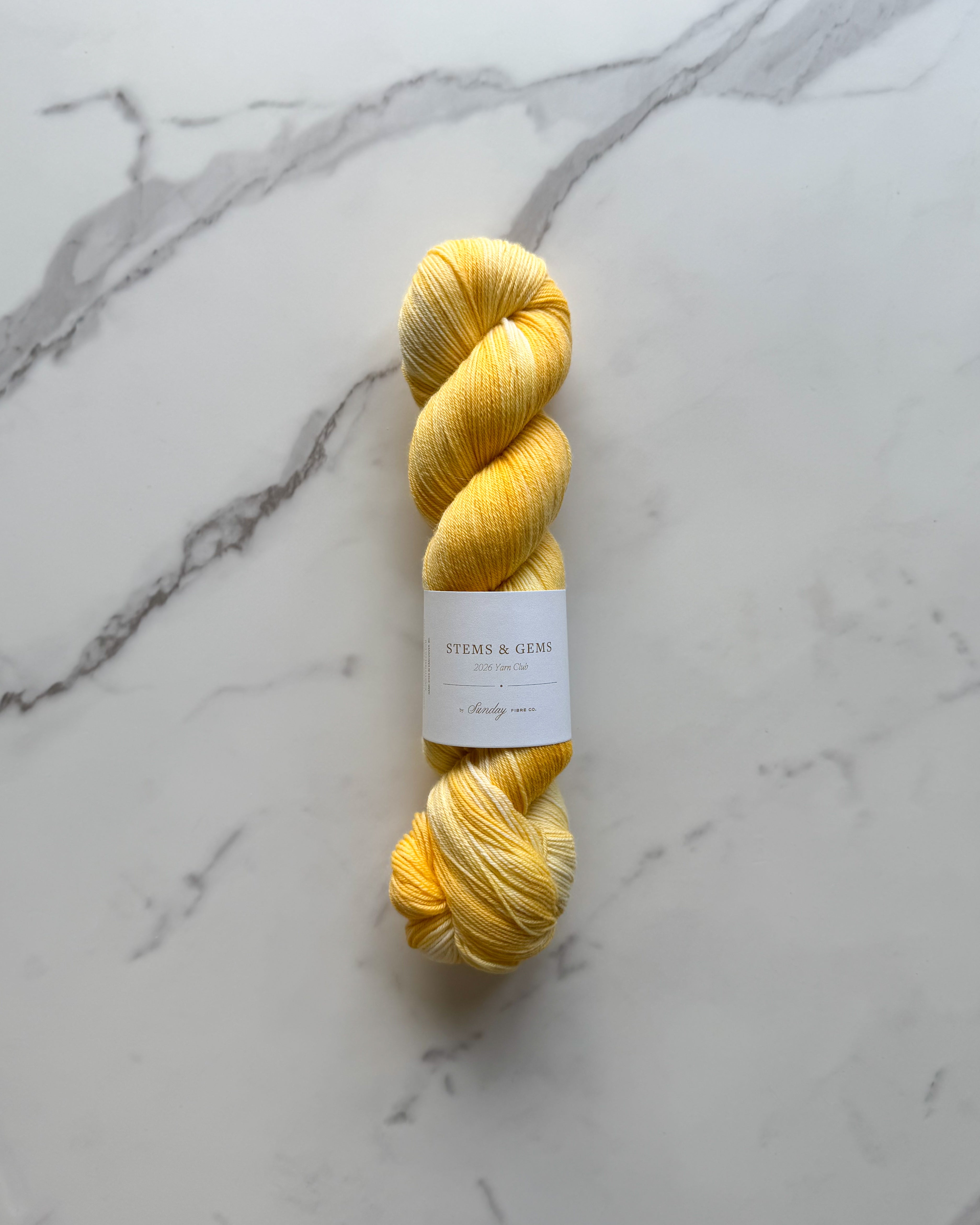 Daffodils | Natural Fingering
