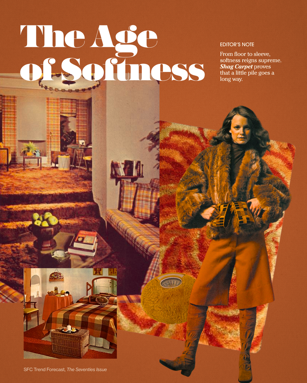 The Seventies Issue: Shag Carpet PRE-ORDER