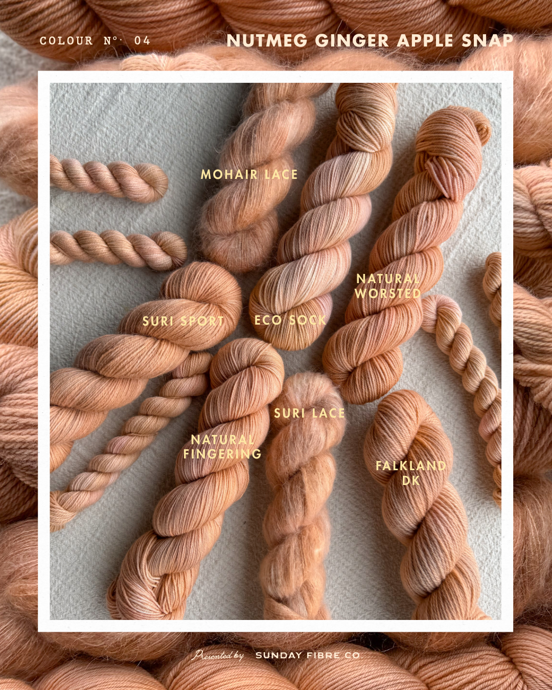 The Grand Palette: Nutmeg Ginger Apple Snap IN-STOCK