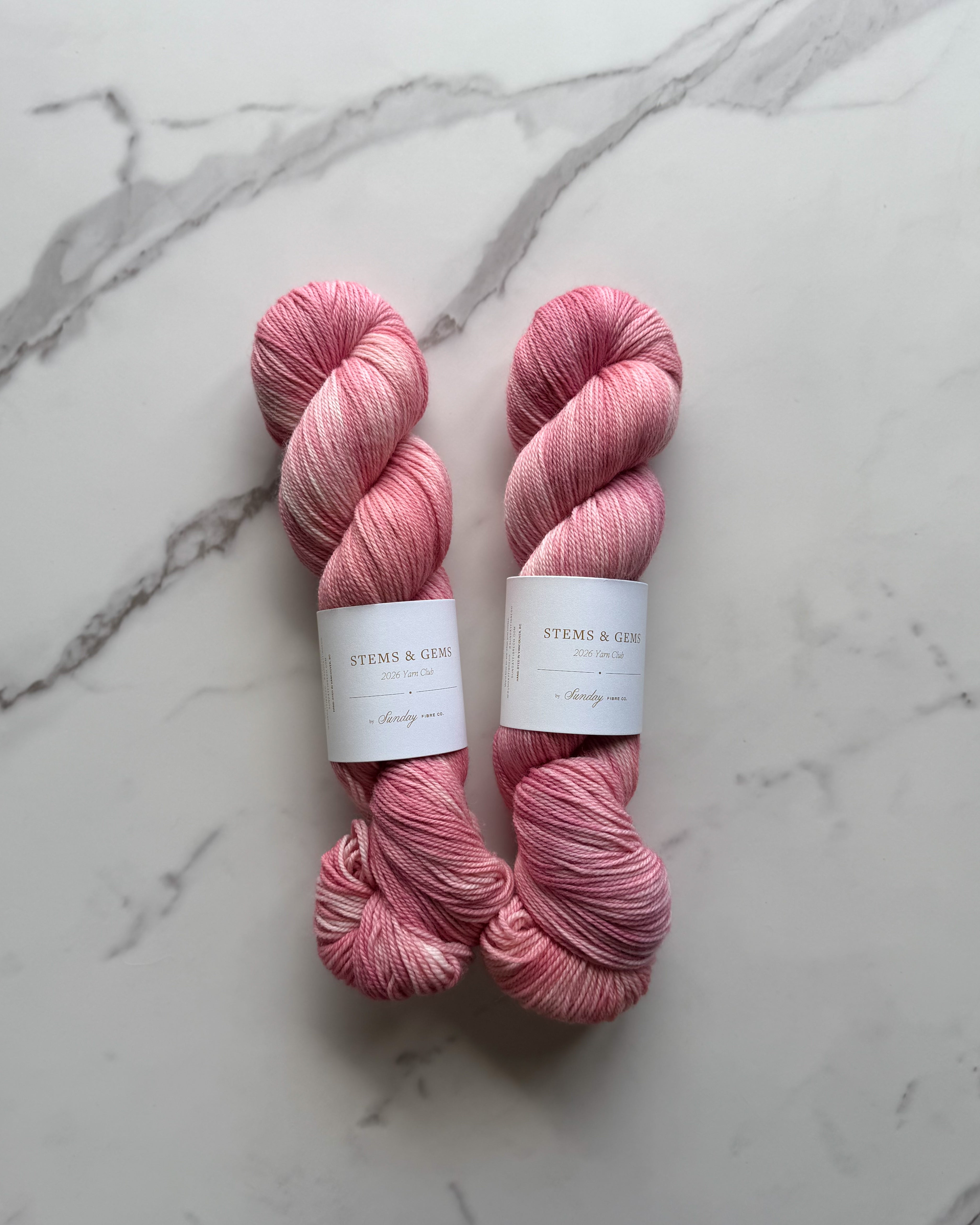 Carnations | Eco Sock
