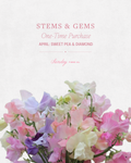Stems & Gems 2026 Yarn Club | April ONE TIME