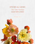 Stems & Gems 2026 Yarn Club | August ONE TIME