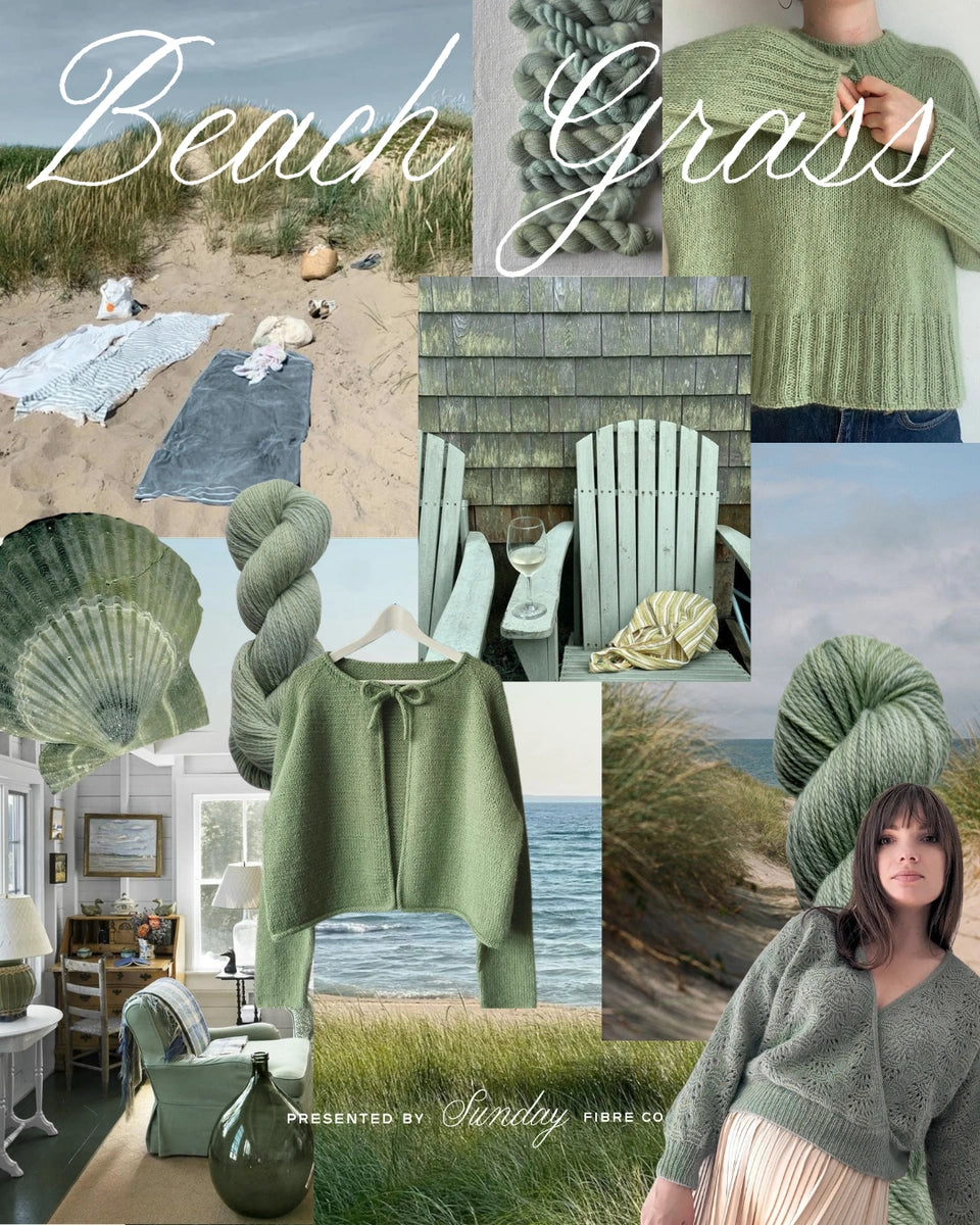 Beach Grass | BFL Fingering PRE-ORDER