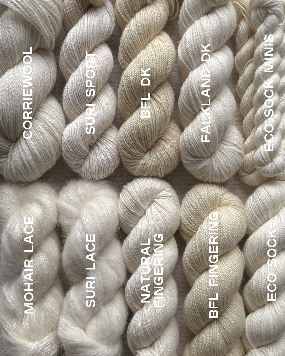 French Vanilla | BFL Fingering PRE-ORDER