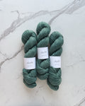 I Saved Latin | BFL Linen Fingering