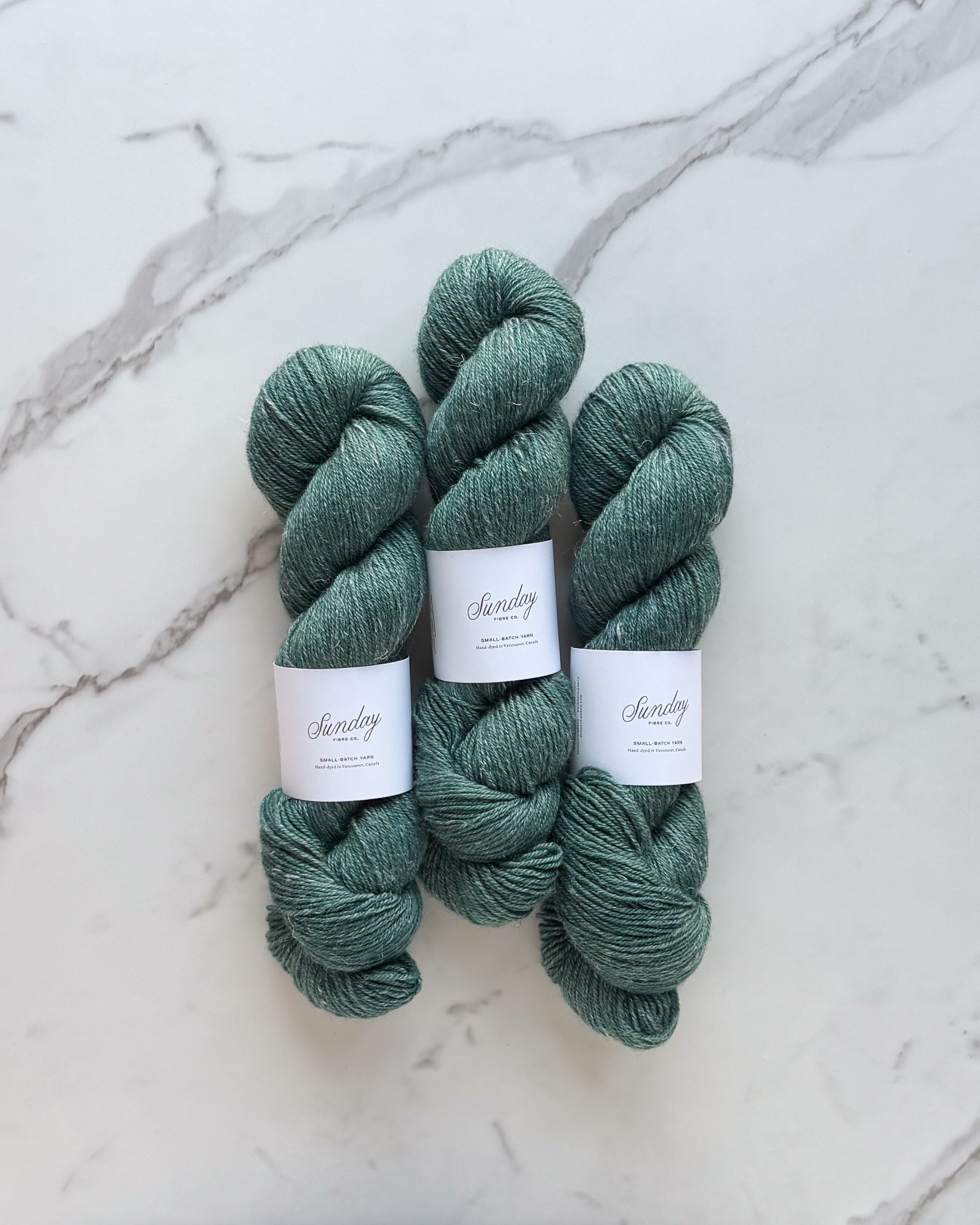 I Saved Latin | BFL Linen Fingering