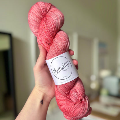 Lonely Socks Yarn Club | February IN-STOCK