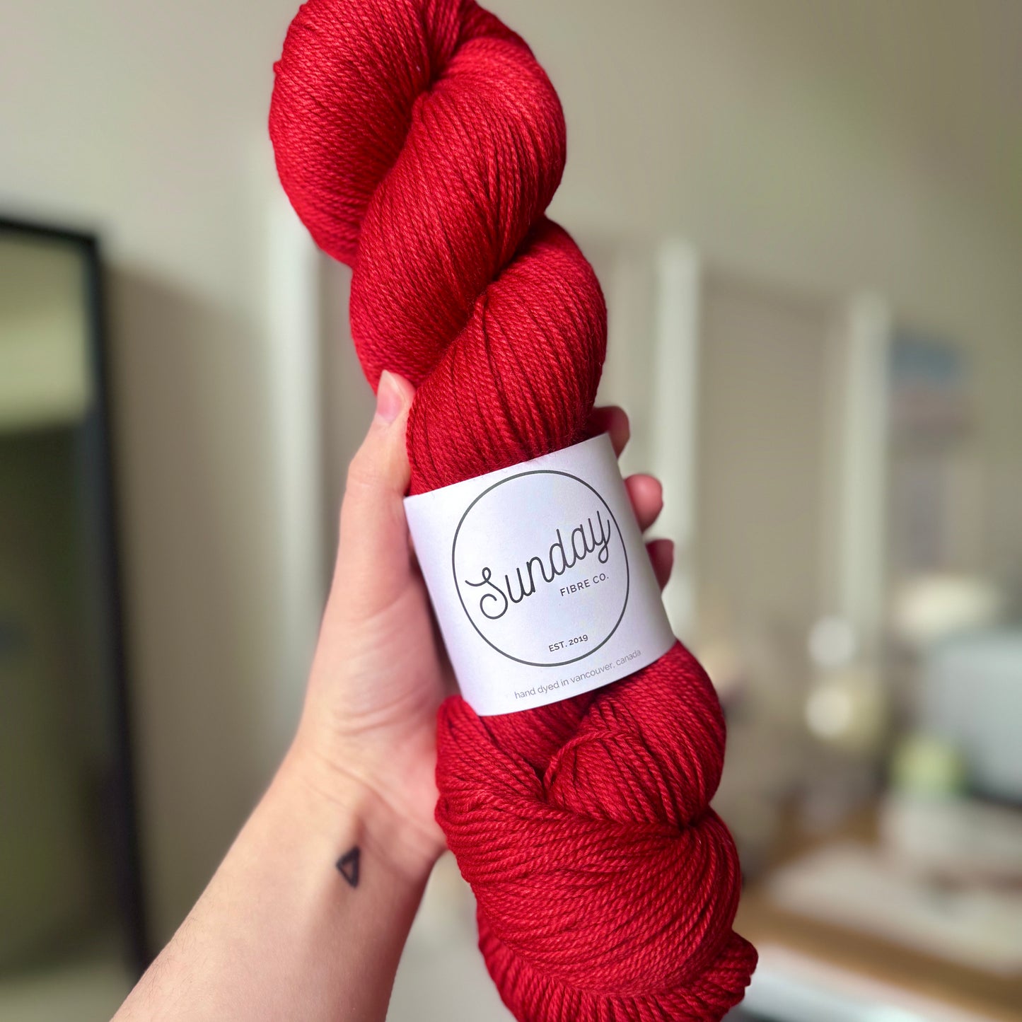 Lonely Socks Yarn Club | February IN-STOCK