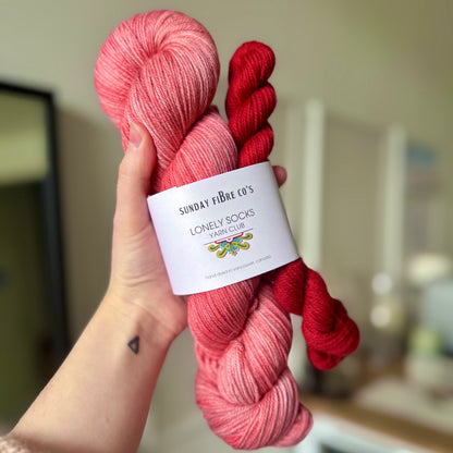 Lonely Socks Yarn Club | February IN-STOCK