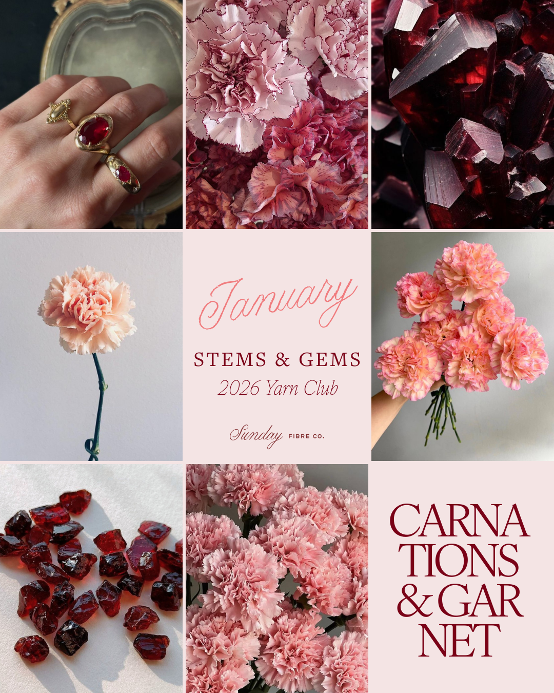 Stems & Gems 2026 Yarn Club | January ONE TIME