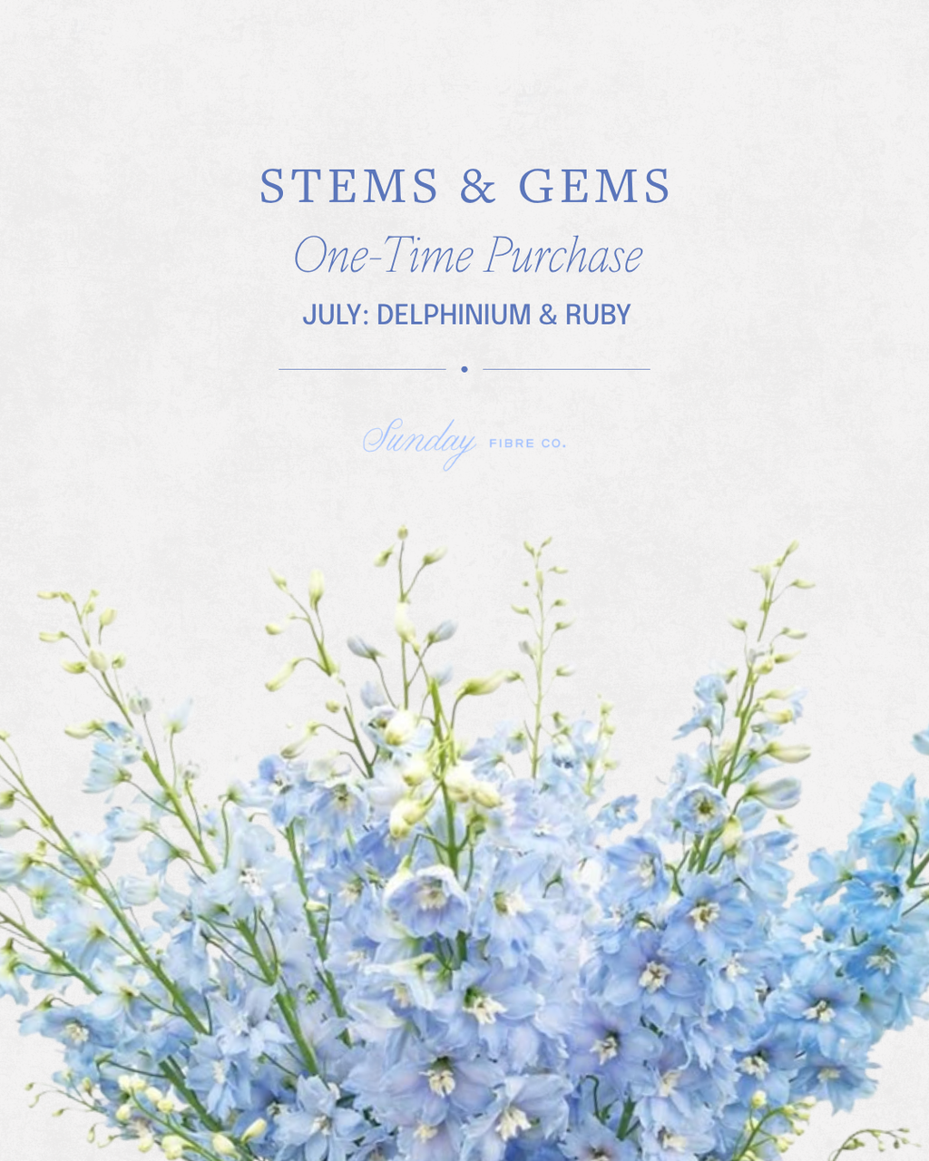 Stems & Gems 2026 Yarn Club | July ONE TIME