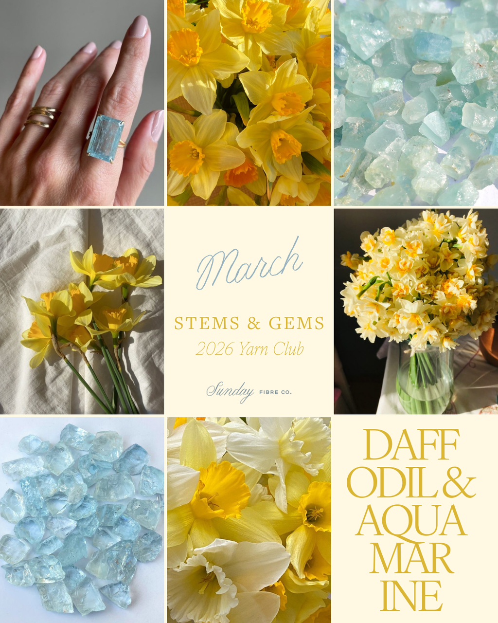 Stems & Gems 2026 Yarn Club | MONTHLY SUBSCRIPTION