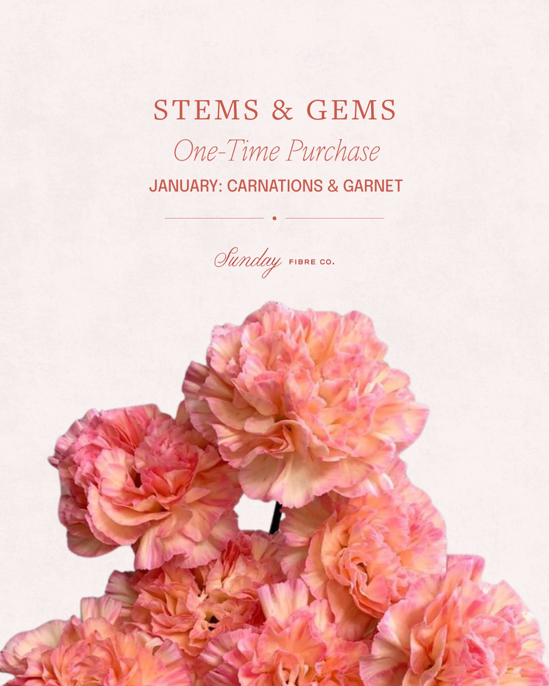 Stems & Gems 2026 Yarn Club | January ONE TIME