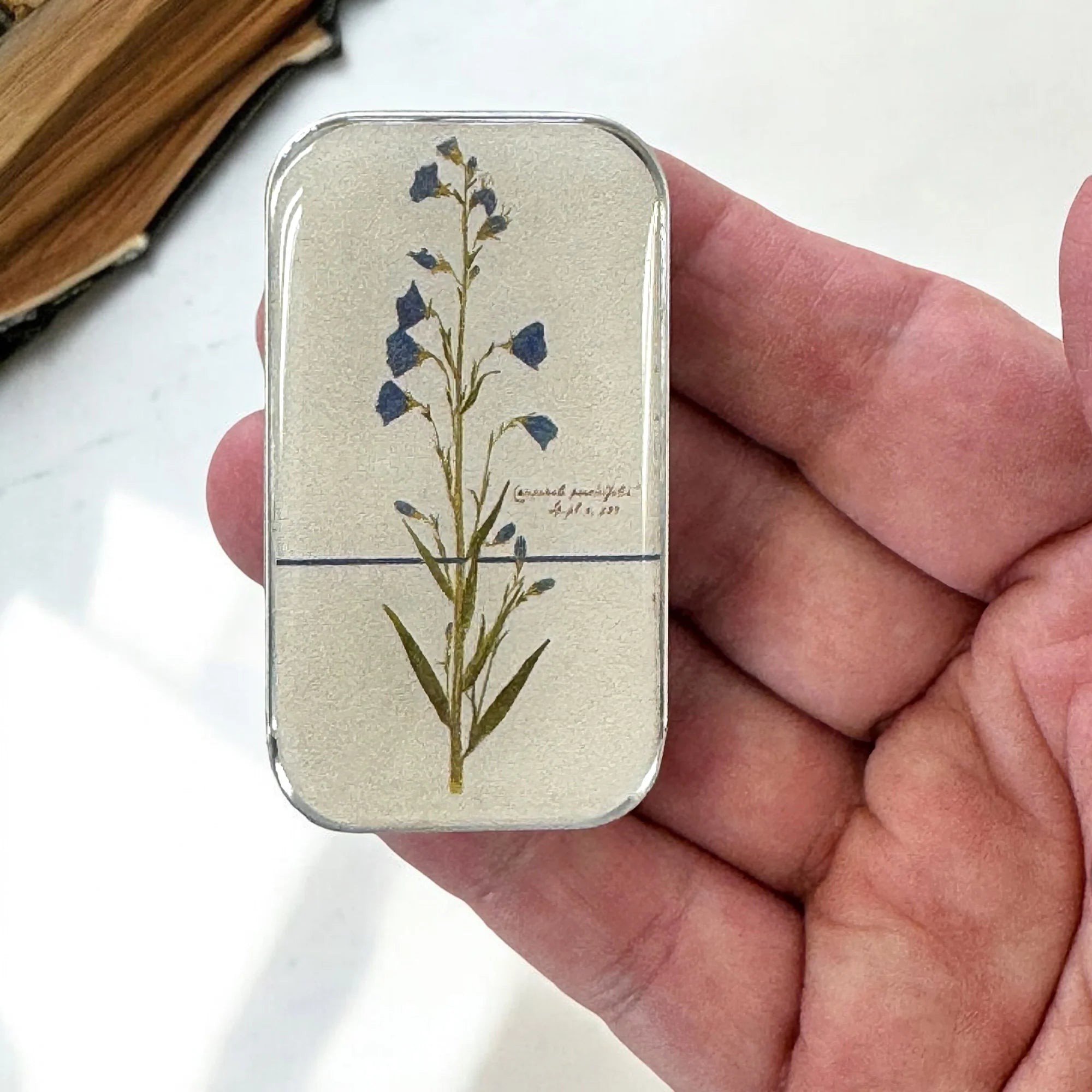 Bellflower Notions Tin