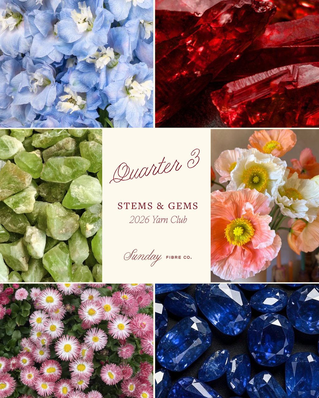Stems & Gems 2026 Yarn Club | QUARTERLY SUBSCRIPTION