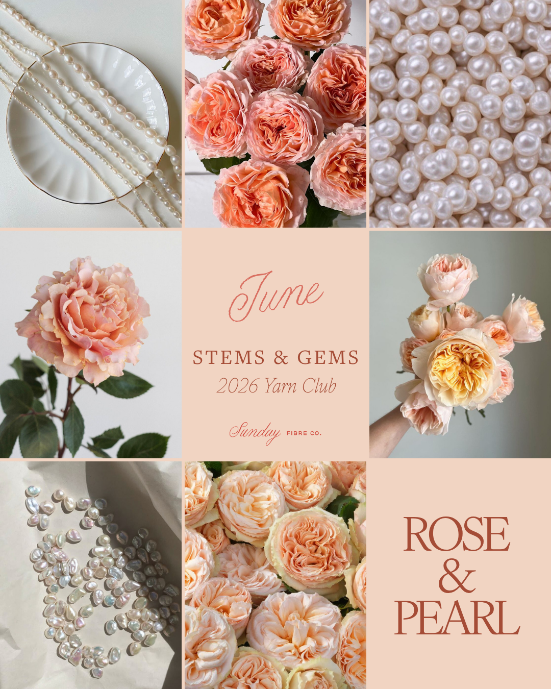 Stems & Gems 2026 Yarn Club | MONTHLY SUBSCRIPTION