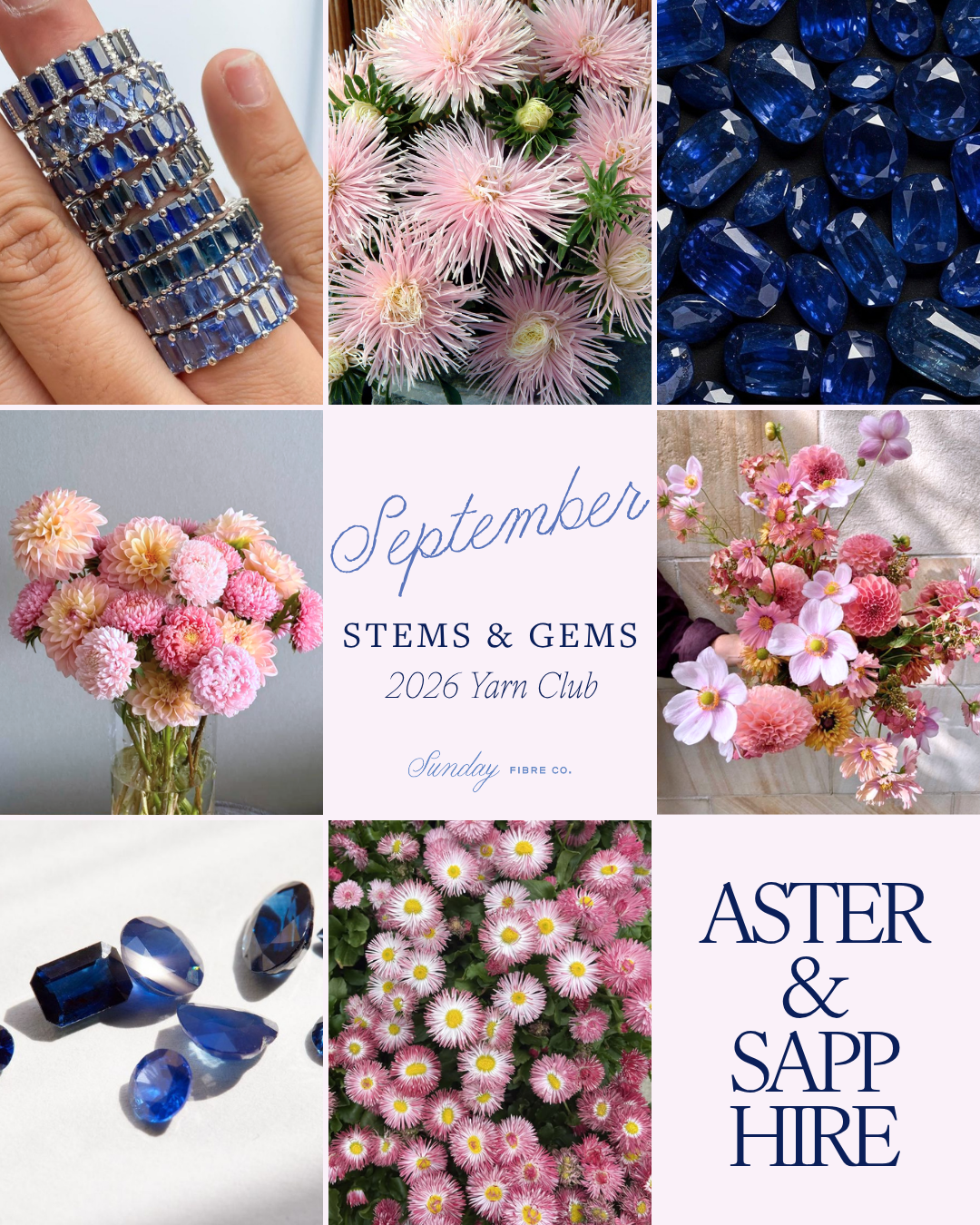 Stems & Gems 2026 Yarn Club | September ONE TIME