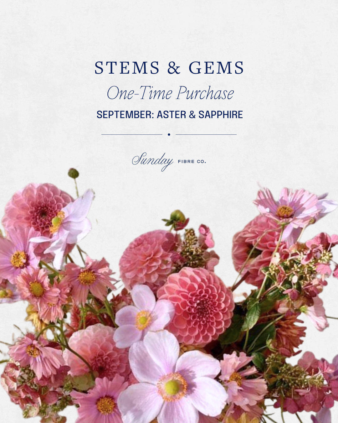 Stems & Gems 2026 Yarn Club | September ONE TIME