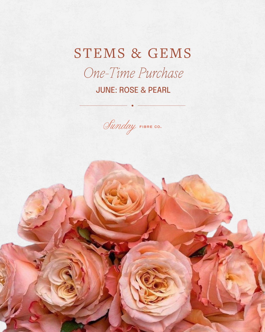 Stems & Gems 2026 Yarn Club | June ONE TIME