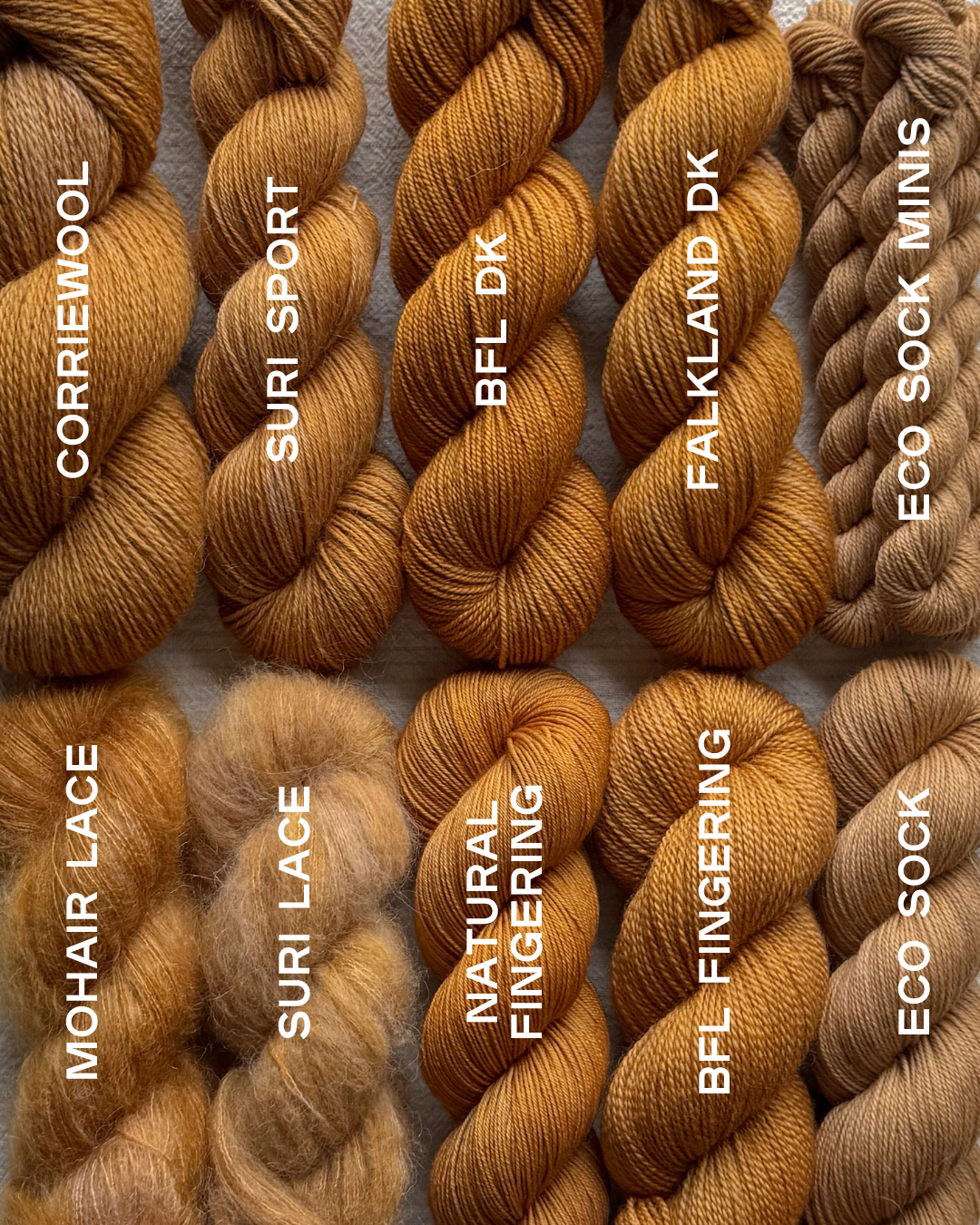 Sun Tea | BFL Fingering PRE-ORDER