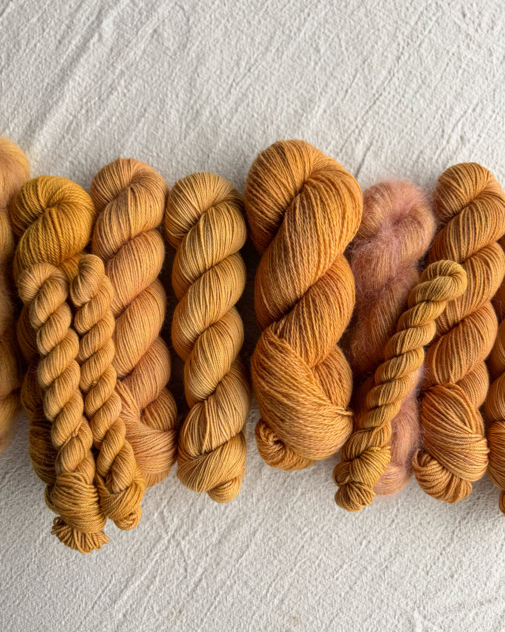 The Grand Palette: Scout Master (Troop 55) IN-STOCK