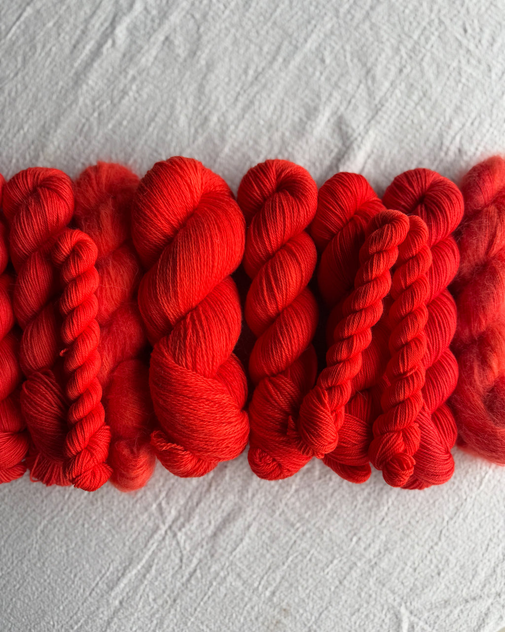 The Grand Palette: Team Zissou IN-STOCK